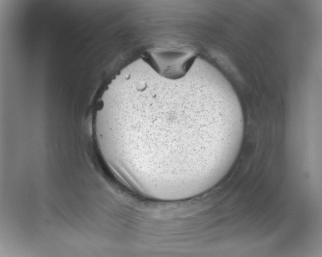 X0000068720021200605121504