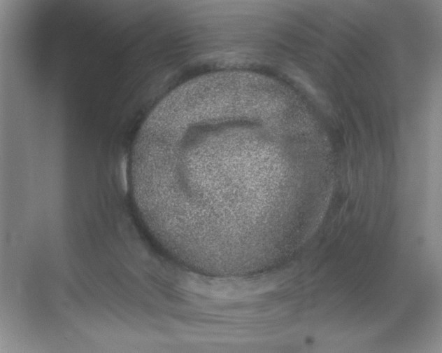 X0000068720022200605121504