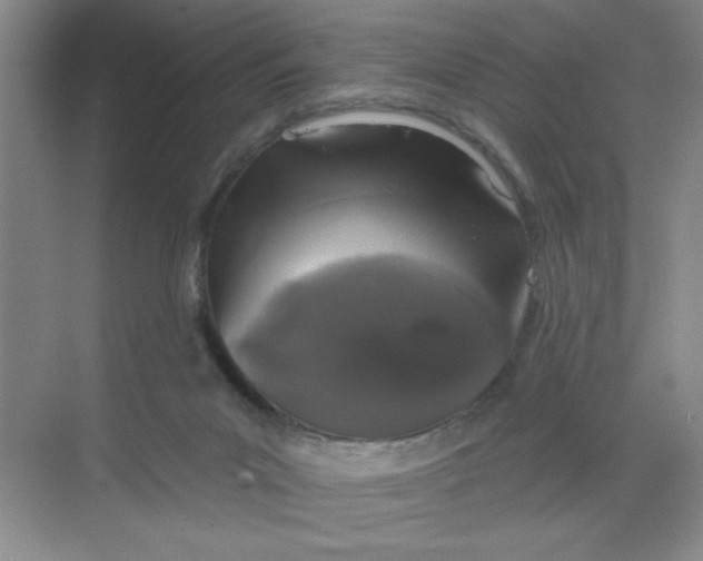 X0000068720023200605121504