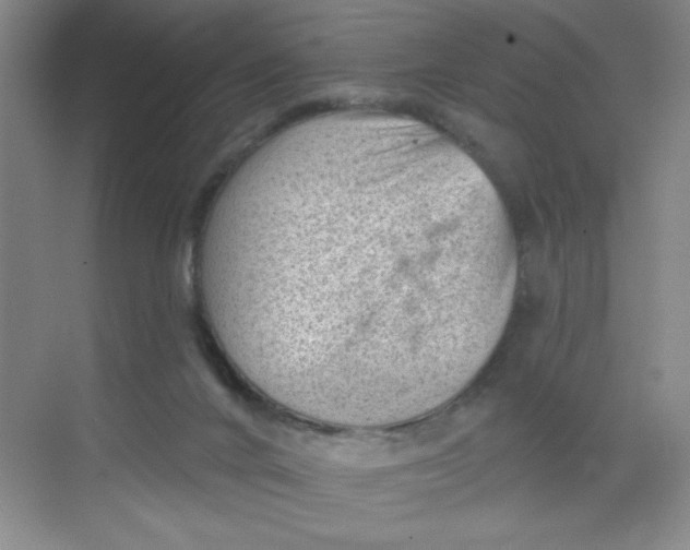 X0000068720024200605121504