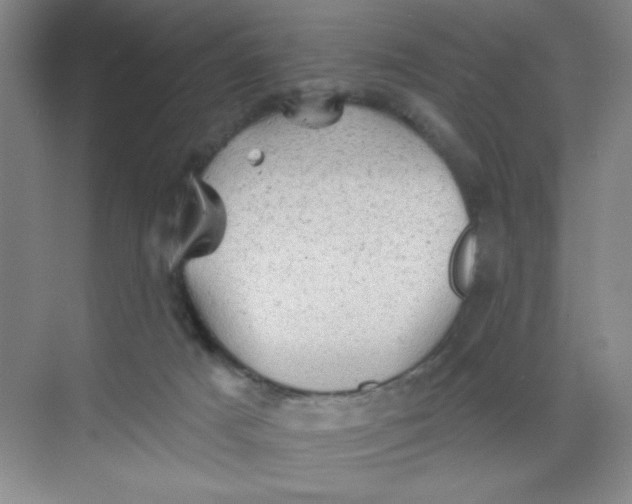 X0000068720025200605121504