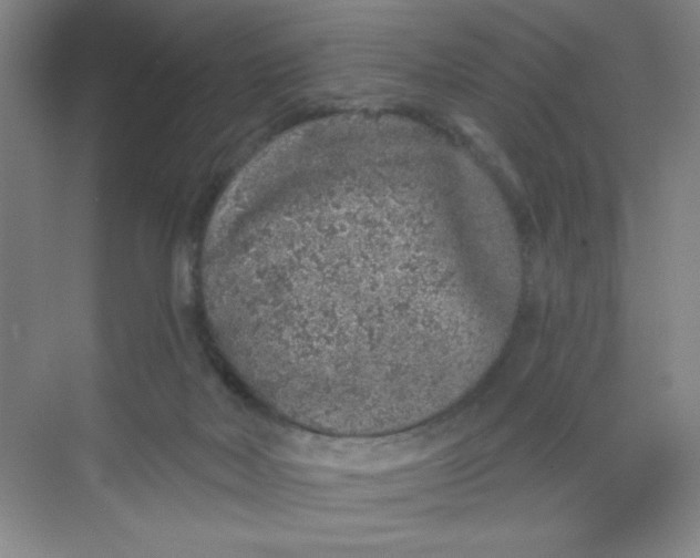 X0000068720026200605121504