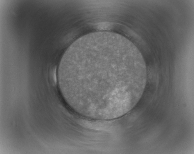 X0000068720028200605121504