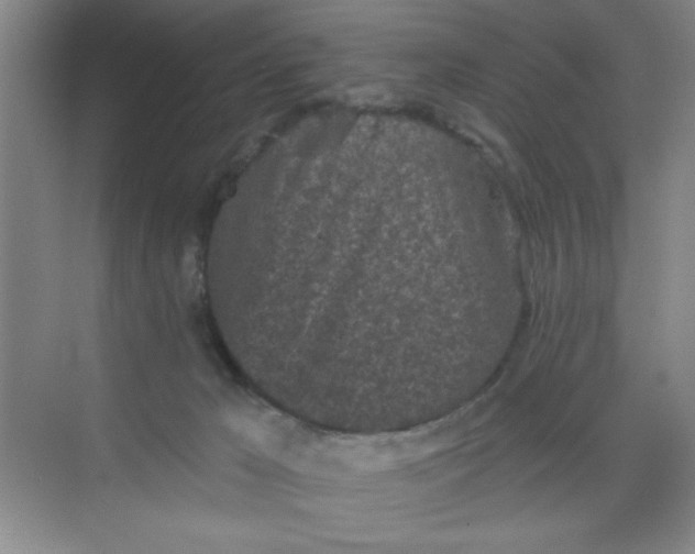 X0000068720029200605121504