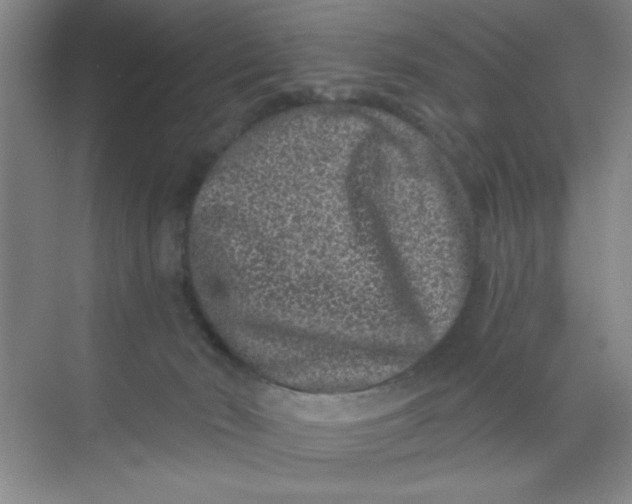 X0000068720030200605121504