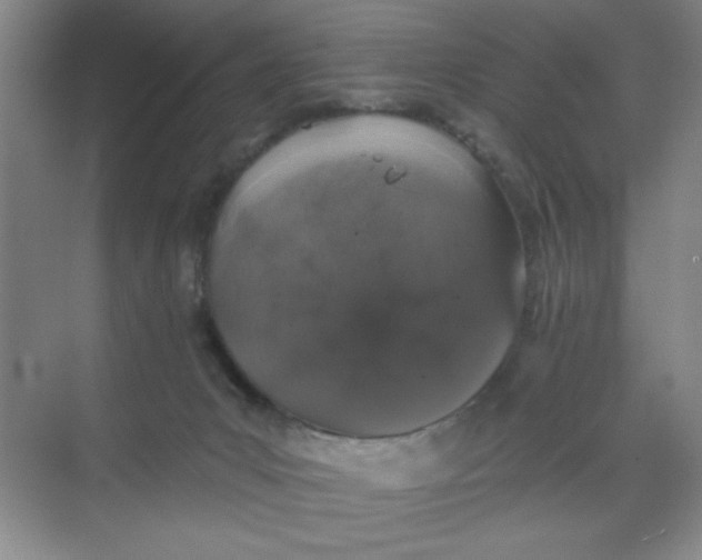 X0000068720031200605121504