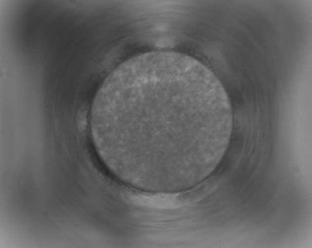 X0000068720032200605121504