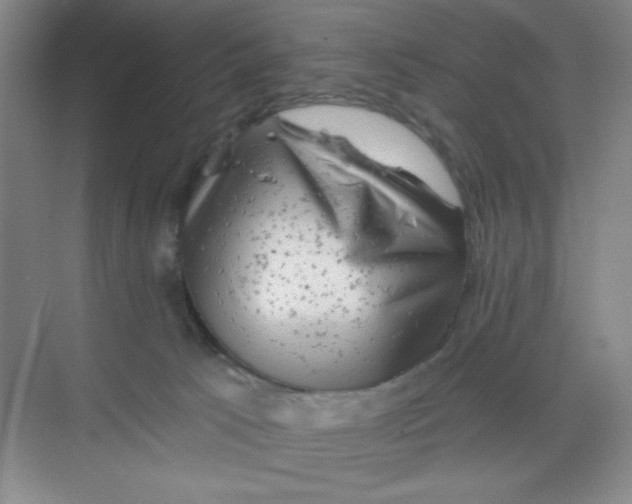 X0000068720033200605121503