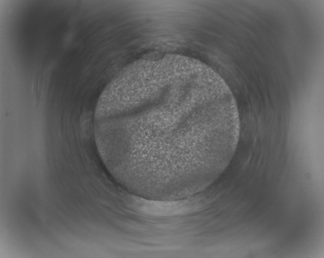 X0000068720034200605121503