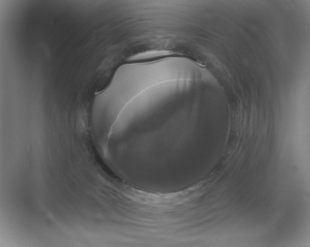 X0000068720035200605121503