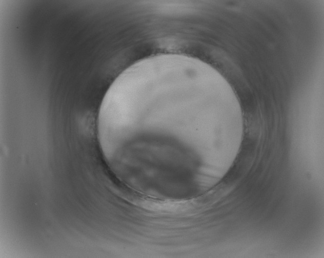 X0000068720036200605121503