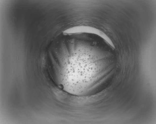 X0000068720037200605121503