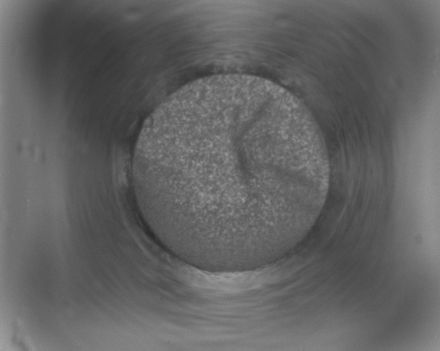 X0000068720038200605121503