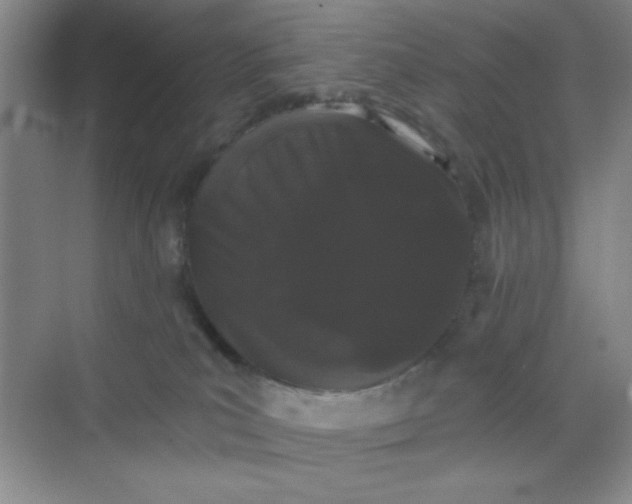 X0000068720039200605121503