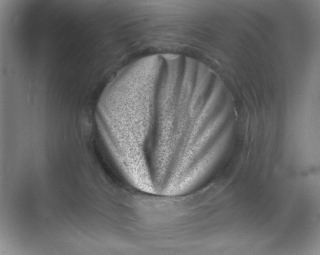 X0000068720040200605121503