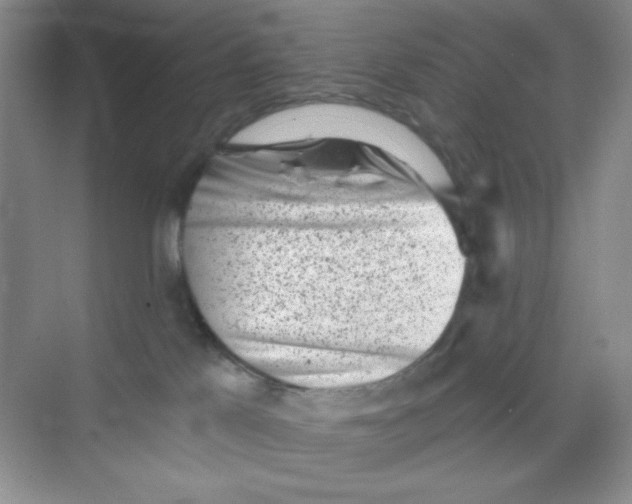 X0000068720041200605121503