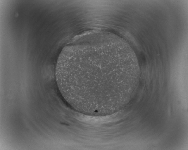 X0000068720043200605121503