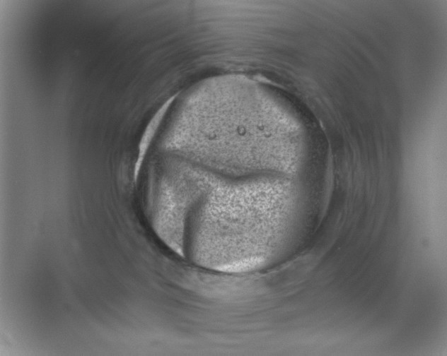 X0000068720044200605121503