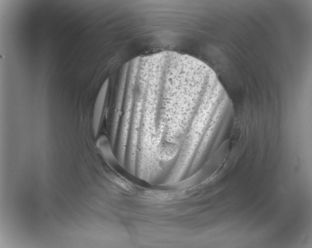 X0000068720045200605121503