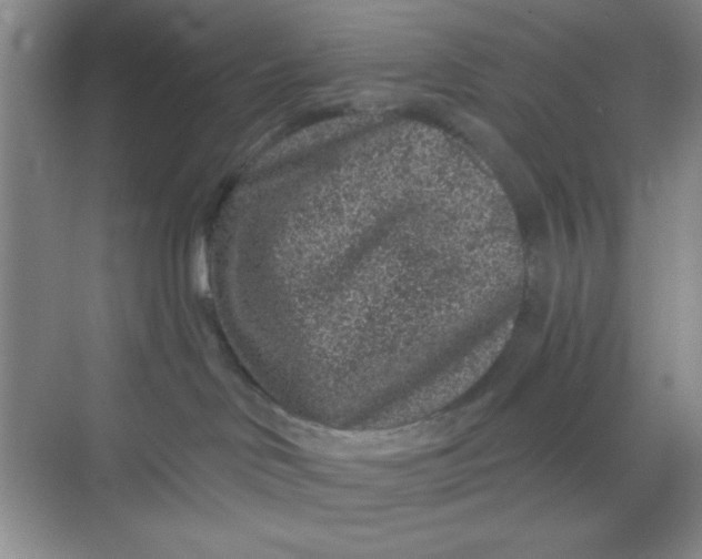 X0000068720046200605121503