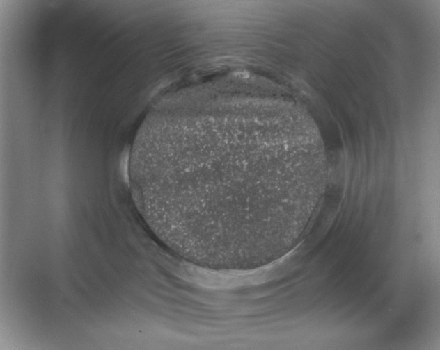 X0000068720047200605121503