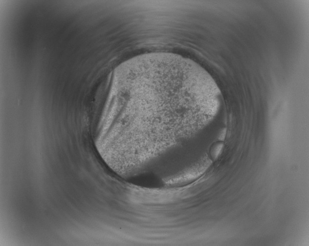 X0000068720048200605121503