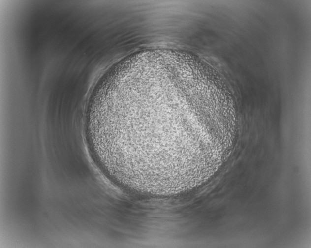 X0000068720049200605121502