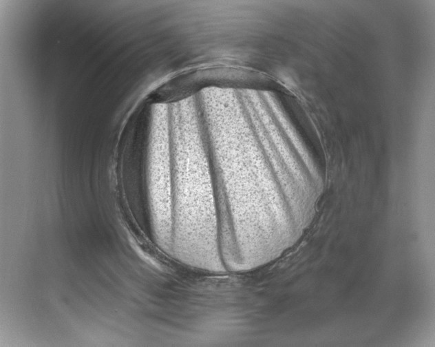 X0000068720050200605121502