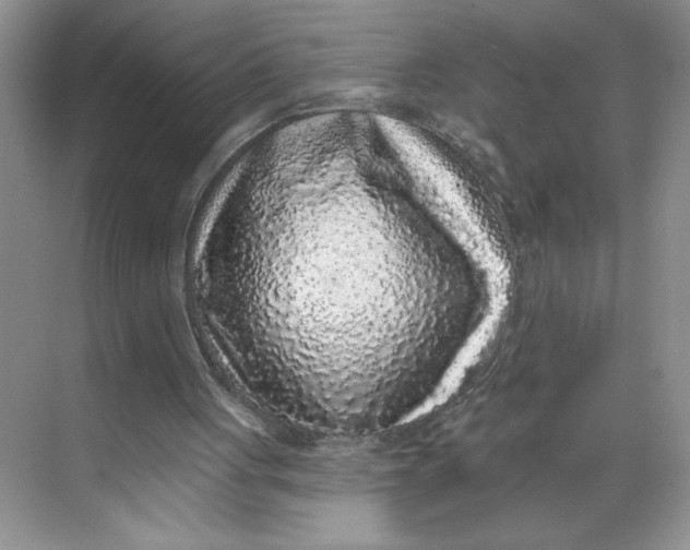 X0000068720051200605121502