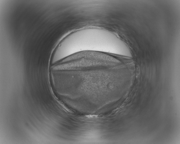 X0000068720052200605121502