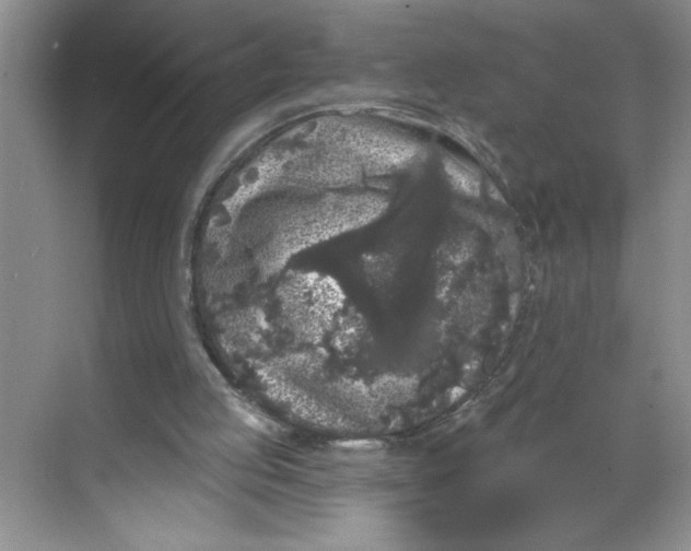 X0000068720053200605121502