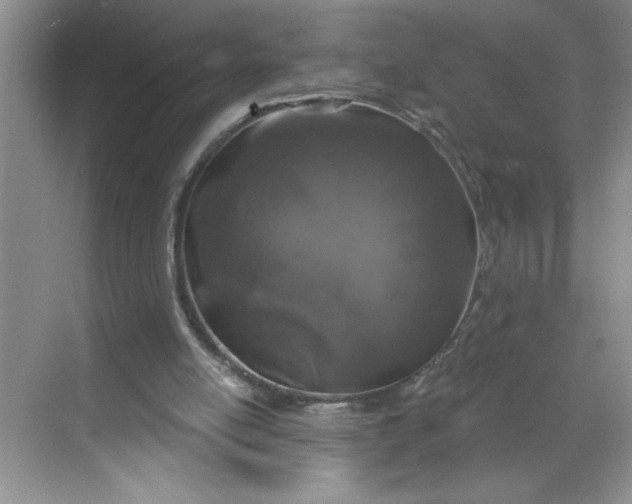 X0000068720054200605121503