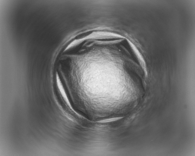 X0000068720055200605121503