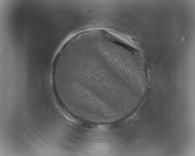 X0000068720056200605121503