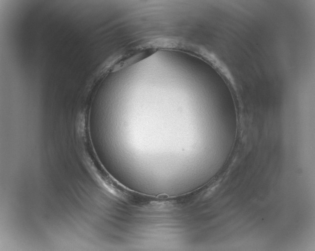 X0000068720057200605121503