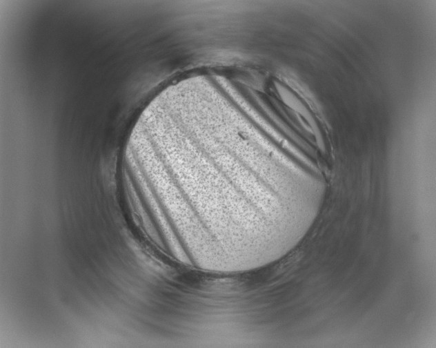 X0000068720058200605121503