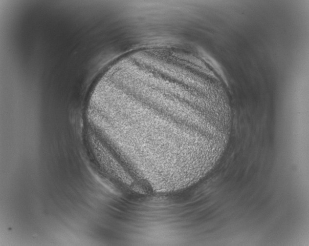 X0000068720059200605121503