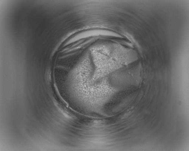 X0000068720060200605121503