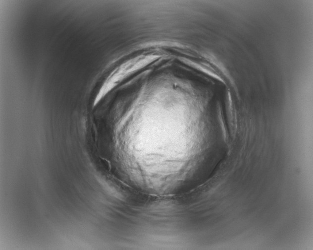 X0000068720063200605121503