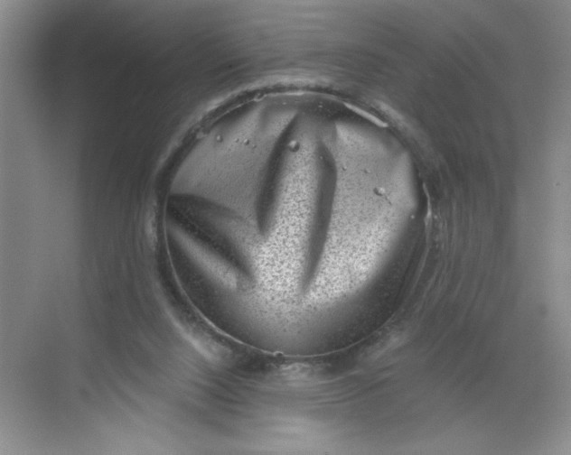 X0000068720064200605121503