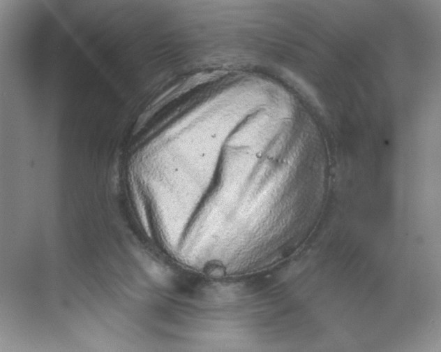 X0000068720065200605121503