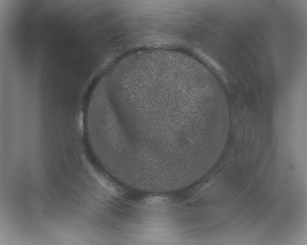 X0000068720067200605121503