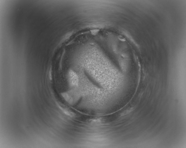 X0000068720068200605121503