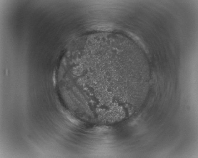 X0000068720069200605121503