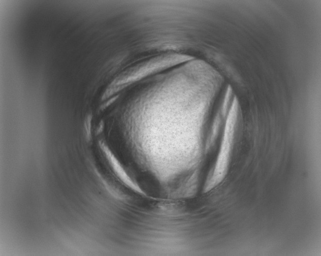 X0000068720070200605121503