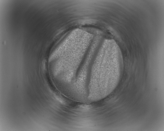 X0000068720071200605121503