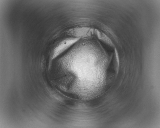 X0000068720073200605121503