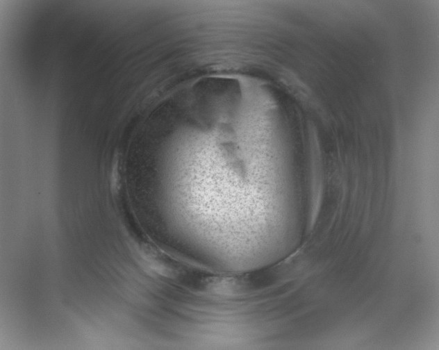 X0000068720074200605121503