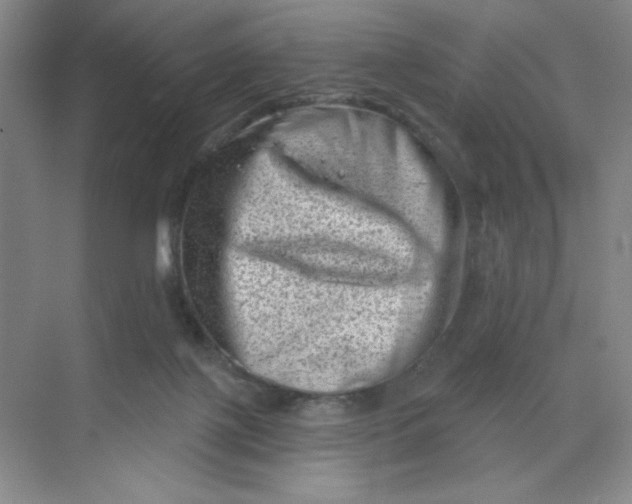 X0000068720075200605121503