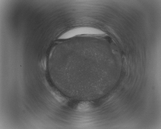 X0000068720076200605121503